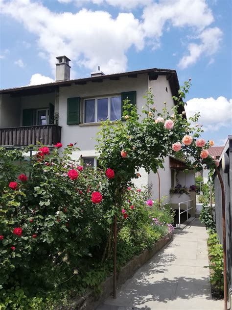 thun wohnung|Property to rent in Thun